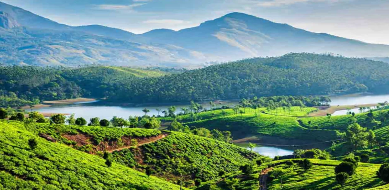 Kerala Tour – Munnar, Alleppey & Thekkady